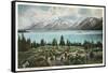 Jackson Lake, Grand Tetons-null-Framed Stretched Canvas