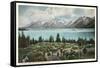 Jackson Lake, Grand Tetons-null-Framed Stretched Canvas