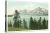 Jackson Lake, Tetons, Wyoming-null-Stretched Canvas