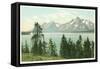 Jackson Lake, Tetons, Wyoming-null-Framed Stretched Canvas