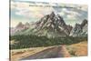 Jackson-Moran Highway, Grand Teton-null-Stretched Canvas