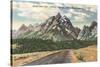 Jackson-Moran Highway, Grand Teton-null-Stretched Canvas