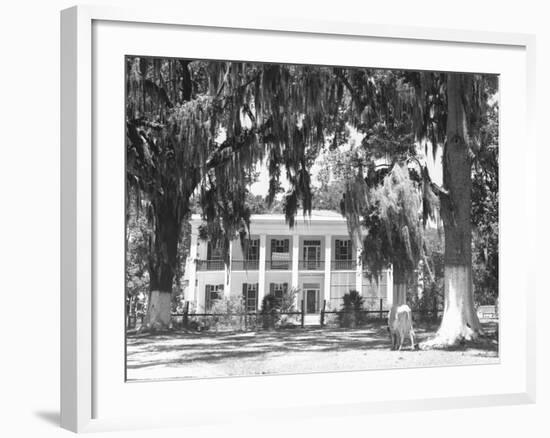 Jackson Plantation Home-Marion Post Wolcott-Framed Photographic Print