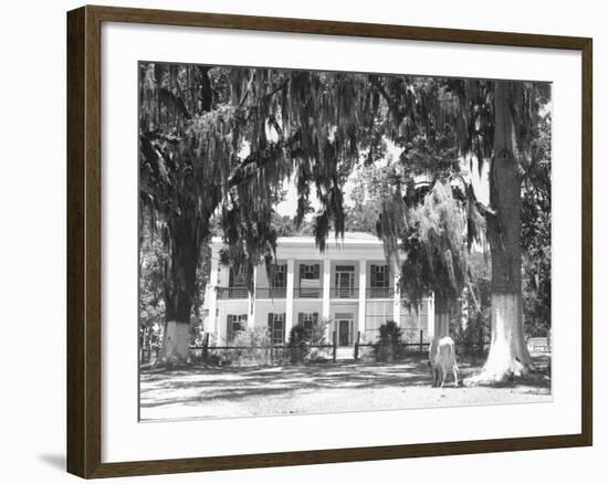 Jackson Plantation Home-Marion Post Wolcott-Framed Photographic Print