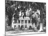 Jackson Plantation Home-Marion Post Wolcott-Mounted Photographic Print