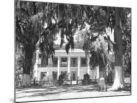 Jackson Plantation Home-Marion Post Wolcott-Mounted Photographic Print