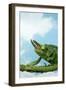 Jackson's Chameleon on Branch-null-Framed Photographic Print