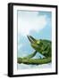 Jackson's Chameleon on Branch-null-Framed Photographic Print