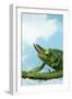 Jackson's Chameleon on Branch-null-Framed Photographic Print