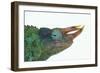 Jackson's Chameleon-DLILLC-Framed Photographic Print