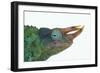 Jackson's Chameleon-DLILLC-Framed Photographic Print