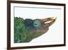 Jackson's Chameleon-DLILLC-Framed Photographic Print