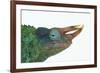 Jackson's Chameleon-DLILLC-Framed Photographic Print