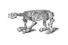 Skeleton of Megatherium, Extinct Giant Ground Sloth, 1833-Jackson-Giclee Print