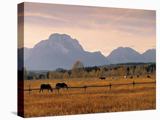 Jackson, Teton Range, Wyoming, USA-Walter Bibikow-Stretched Canvas