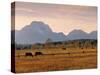 Jackson, Teton Range, Wyoming, USA-Walter Bibikow-Stretched Canvas