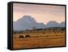 Jackson, Teton Range, Wyoming, USA-Walter Bibikow-Framed Stretched Canvas