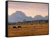 Jackson, Teton Range, Wyoming, USA-Walter Bibikow-Framed Stretched Canvas