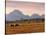 Jackson, Teton Range, Wyoming, USA-Walter Bibikow-Stretched Canvas