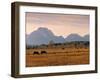 Jackson, Teton Range, Wyoming, USA-Walter Bibikow-Framed Photographic Print