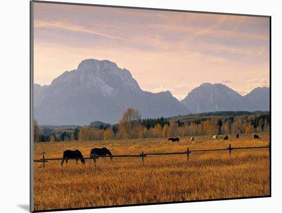 Jackson, Teton Range, Wyoming, USA-Walter Bibikow-Mounted Photographic Print