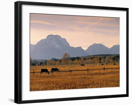 Jackson, Teton Range, Wyoming, USA-Walter Bibikow-Framed Photographic Print