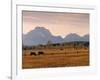 Jackson, Teton Range, Wyoming, USA-Walter Bibikow-Framed Photographic Print