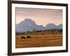 Jackson, Teton Range, Wyoming, USA-Walter Bibikow-Framed Photographic Print