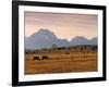 Jackson, Teton Range, Wyoming, USA-Walter Bibikow-Framed Photographic Print