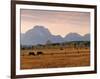 Jackson, Teton Range, Wyoming, USA-Walter Bibikow-Framed Photographic Print