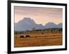 Jackson, Teton Range, Wyoming, USA-Walter Bibikow-Framed Photographic Print