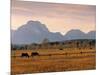 Jackson, Teton Range, Wyoming, USA-Walter Bibikow-Mounted Photographic Print