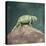 Jacksons Chameleon, Kenya, East Africa, Africa-Robert Harding-Stretched Canvas