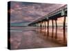 Jacksonville, Fl: Sunrise Colors the Skies at the Pier-Brad Beck-Stretched Canvas