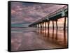 Jacksonville, Fl: Sunrise Colors the Skies at the Pier-Brad Beck-Framed Stretched Canvas