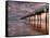 Jacksonville, Fl: Sunrise Colors the Skies at the Pier-Brad Beck-Framed Stretched Canvas