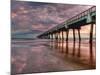 Jacksonville, Fl: Sunrise Colors the Skies at the Pier-Brad Beck-Mounted Photographic Print