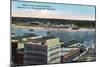 Jacksonville, Florida, Aerial View of Southern Waterfront, Baseball Park, Ferry Boats-Lantern Press-Mounted Art Print