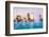 Jacksonville, Florida Fountain Skyline-SeanPavonePhoto-Framed Photographic Print