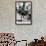 Jacksonville, Florida - Ostrich Farm Scene-Lantern Press-Framed Art Print displayed on a wall