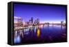 Jacksonville, Florida, USA City Skyline Panorama on St. Johns River at Dawn.-SeanPavonePhoto-Framed Stretched Canvas