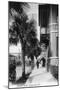 Jacksonville, Florida - View Down Forsyth Street-Lantern Press-Mounted Art Print