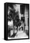 Jacksonville, Florida - View Down Forsyth Street-Lantern Press-Framed Stretched Canvas