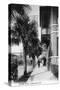 Jacksonville, Florida - View Down Forsyth Street-Lantern Press-Stretched Canvas