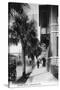 Jacksonville, Florida - View Down Forsyth Street-Lantern Press-Stretched Canvas