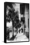 Jacksonville, Florida - View Down Forsyth Street-Lantern Press-Framed Stretched Canvas