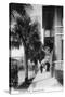 Jacksonville, Florida - View Down Forsyth Street-Lantern Press-Stretched Canvas