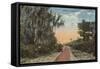 Jacksonville, Florida - View of John Anderson Hwy-Lantern Press-Framed Stretched Canvas