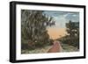 Jacksonville, Florida - View of John Anderson Hwy-Lantern Press-Framed Art Print