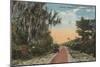 Jacksonville, Florida - View of John Anderson Hwy-Lantern Press-Mounted Art Print